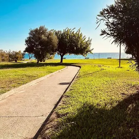 T2 Renove Avec Vue Cervione